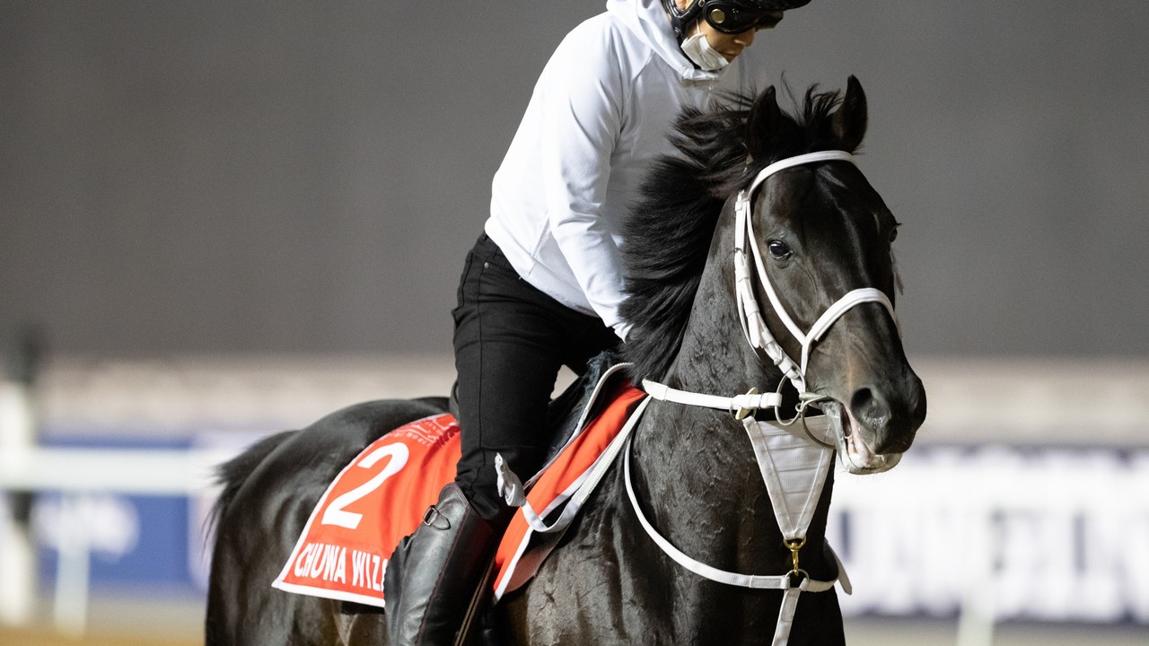 Group 1 $12m Dubai World Cup Sponsored By Emirates Airline Image 1